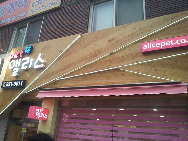 양정 펫샵 앨리스